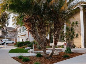 Landscape Design, Mission Viejo